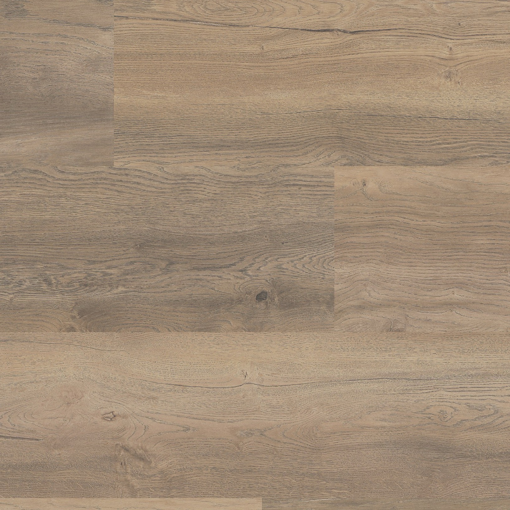 Ambiant Xtra wide harbour eiken beige