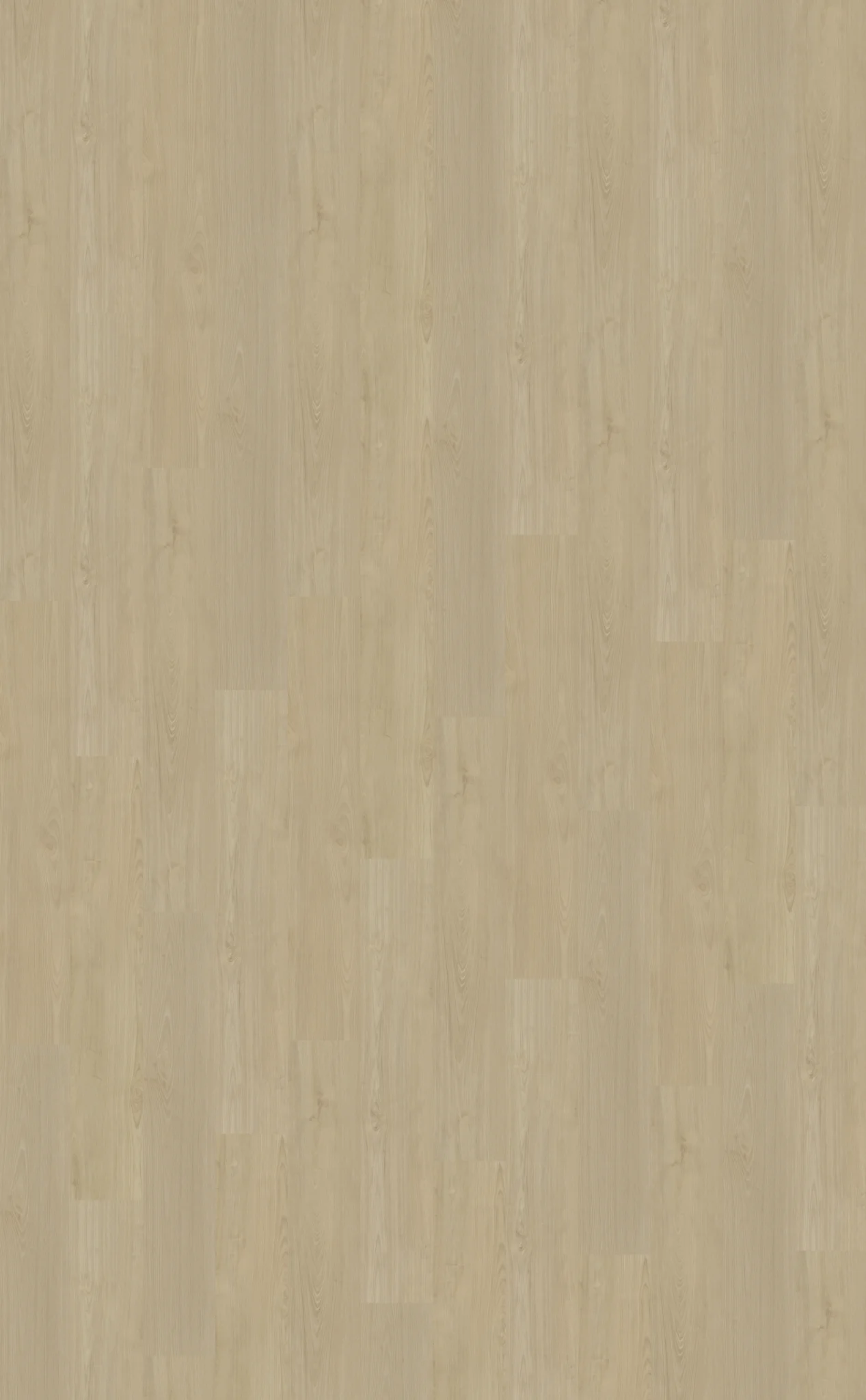 Belakos Portico 570 | Rigid Click