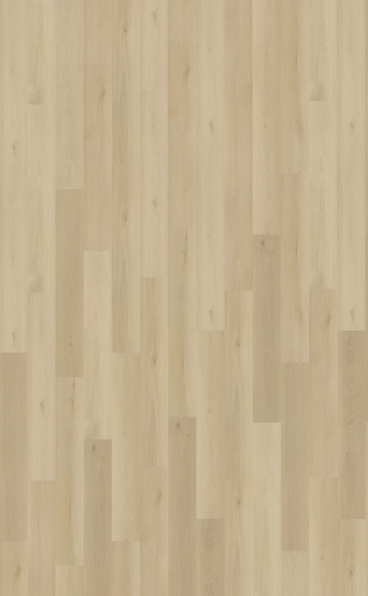 Belakos Borgo 330 | Rigid Click