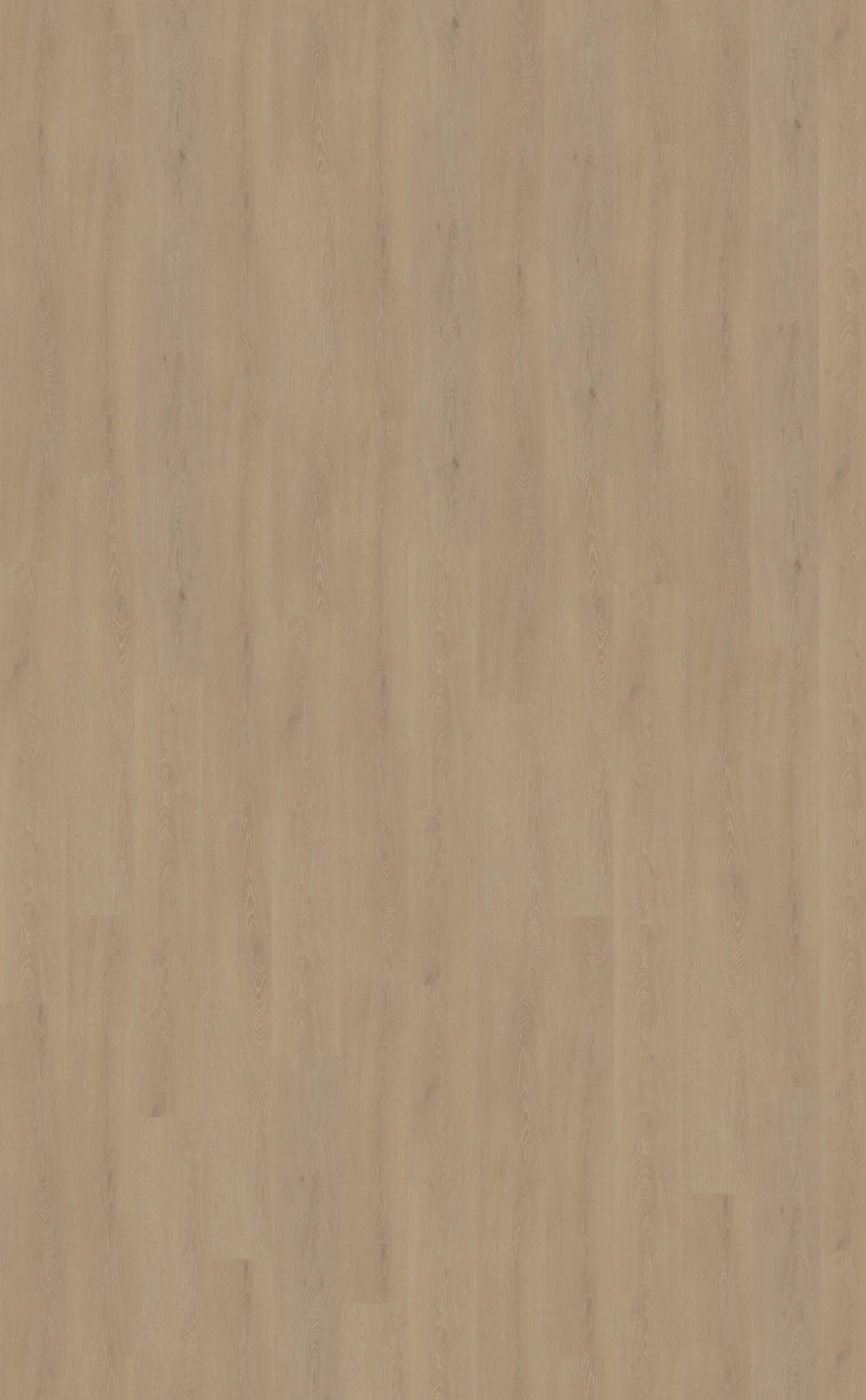 Belakos Cervo 210 | Rigid Click - Afbeelding 4
