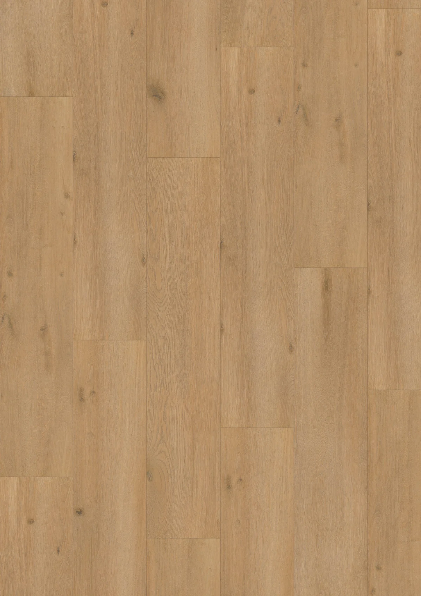 Hoomline Elite XL V4 Vecht 6080 Laminaat Rechte plank Lichtbruin Waterbestendig Click