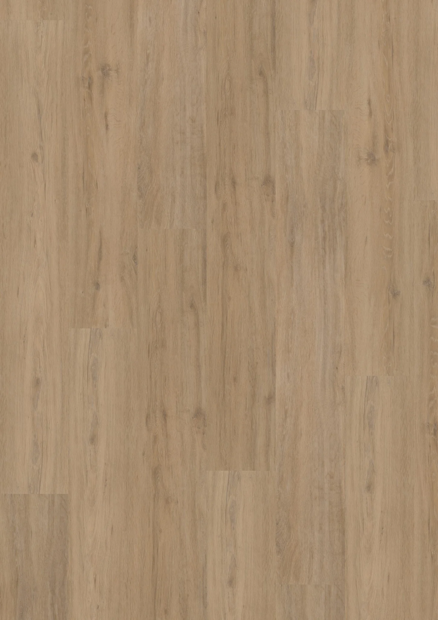 Hoomline Fusion Superior XL Gotham Oak Natural (Dryback)