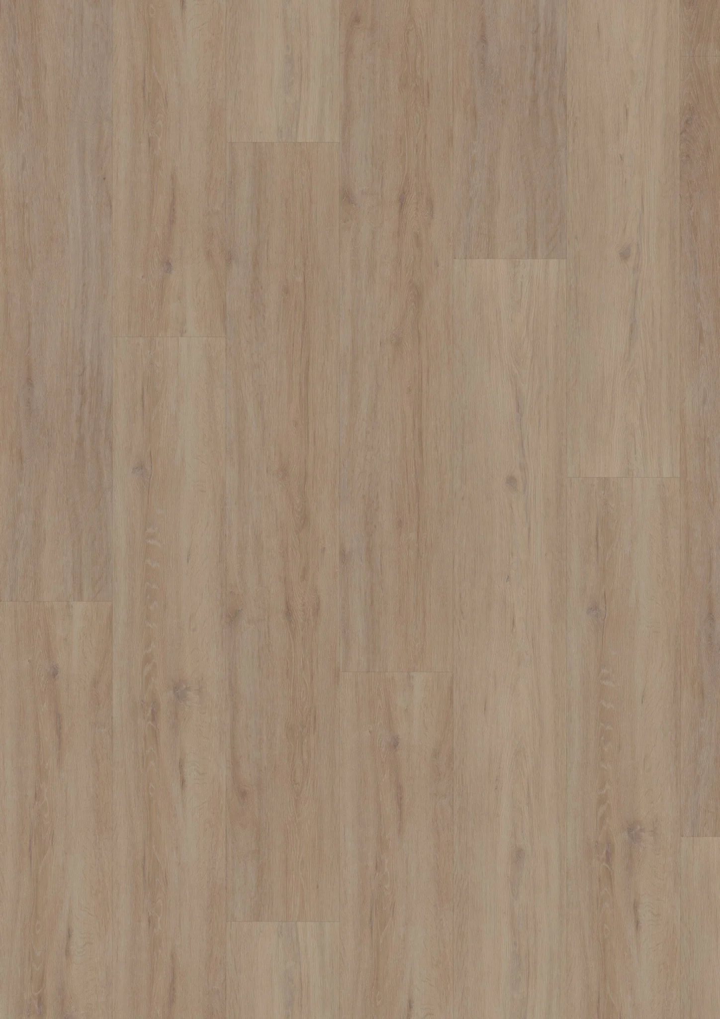 Hoomline Fusion Superior XL Gotham Oak Oiled (Dryback)