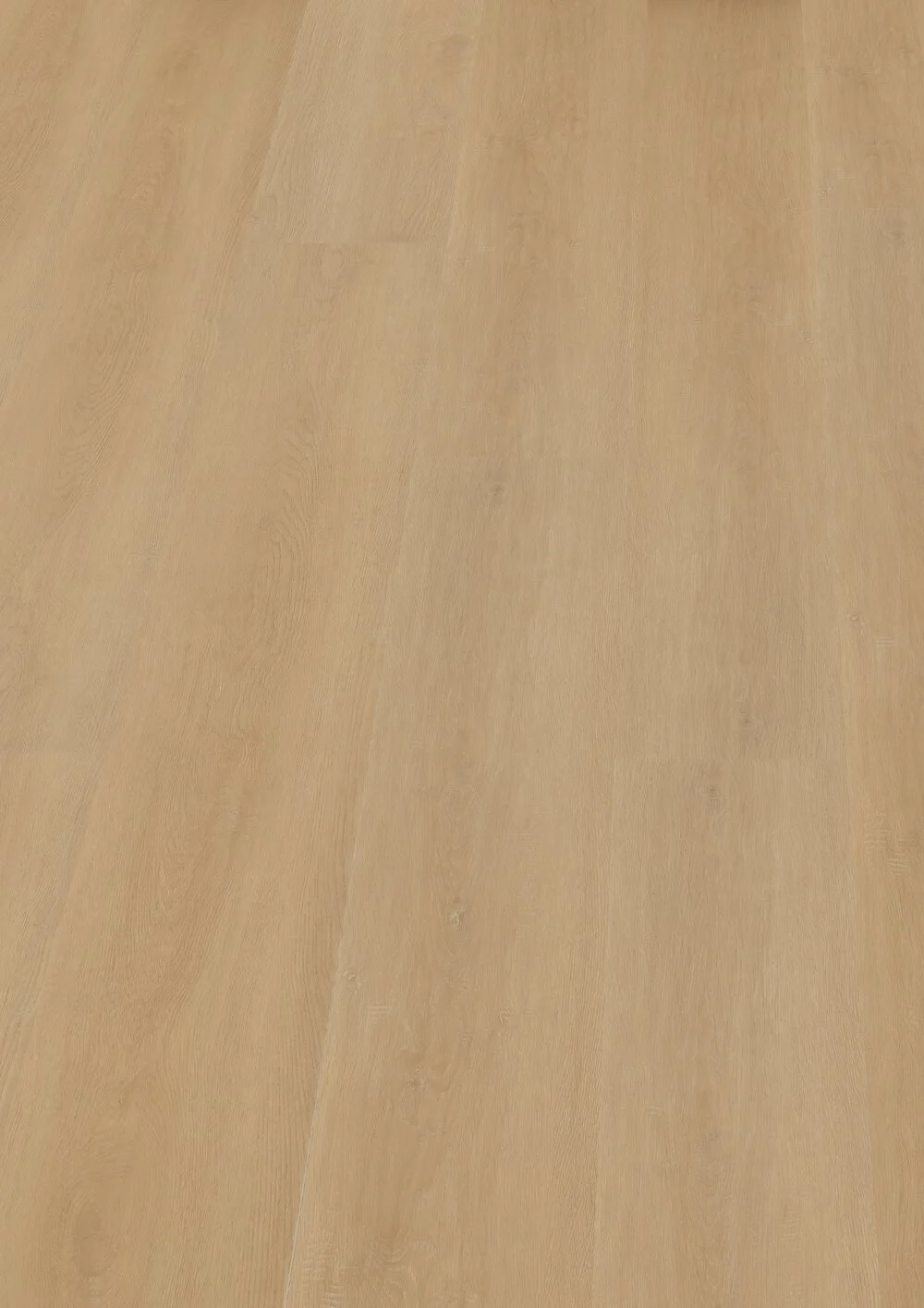 Hoomline Prestige Dryback plank Cannes 5052 - Afbeelding 2