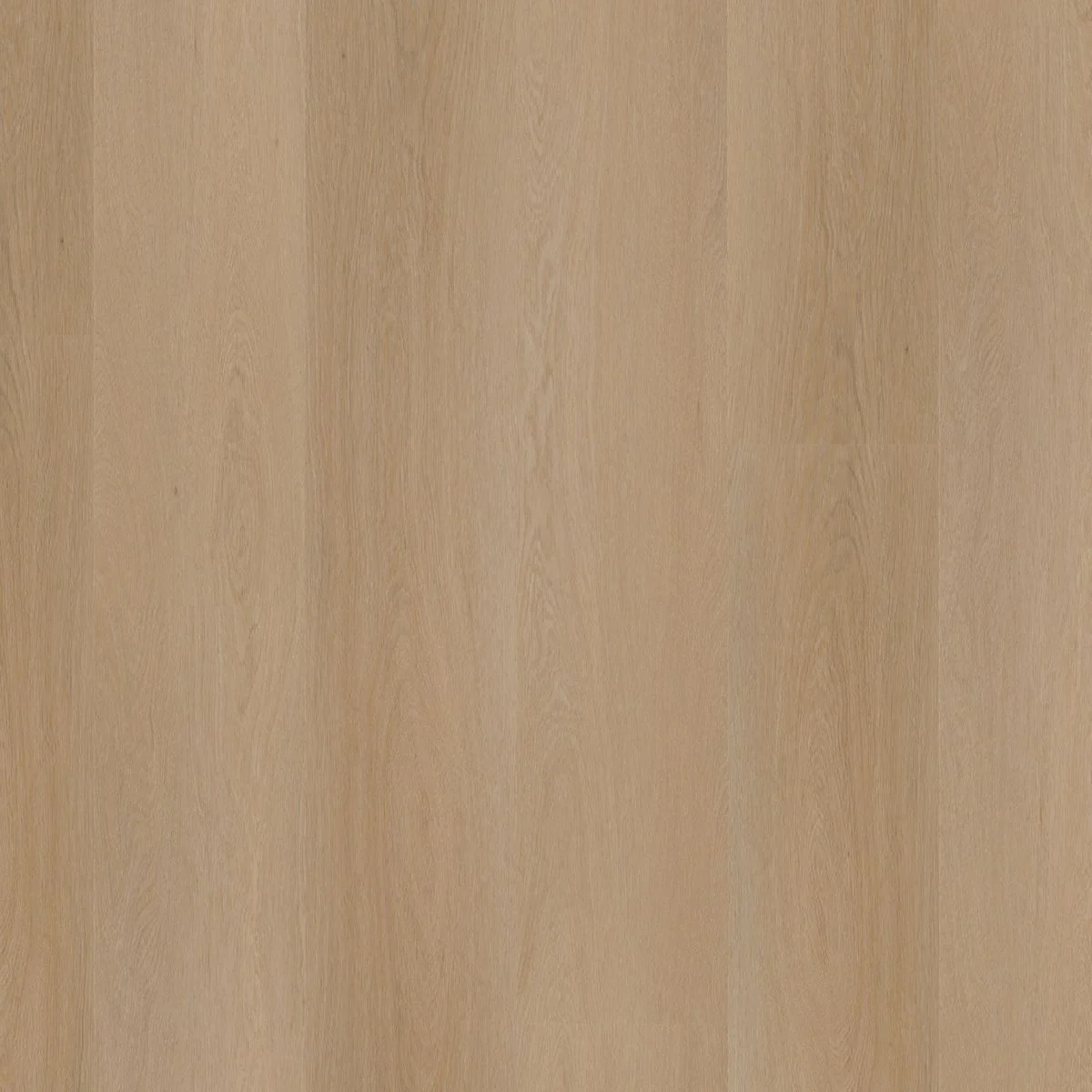 Ambiant Estino click SRC natural oak