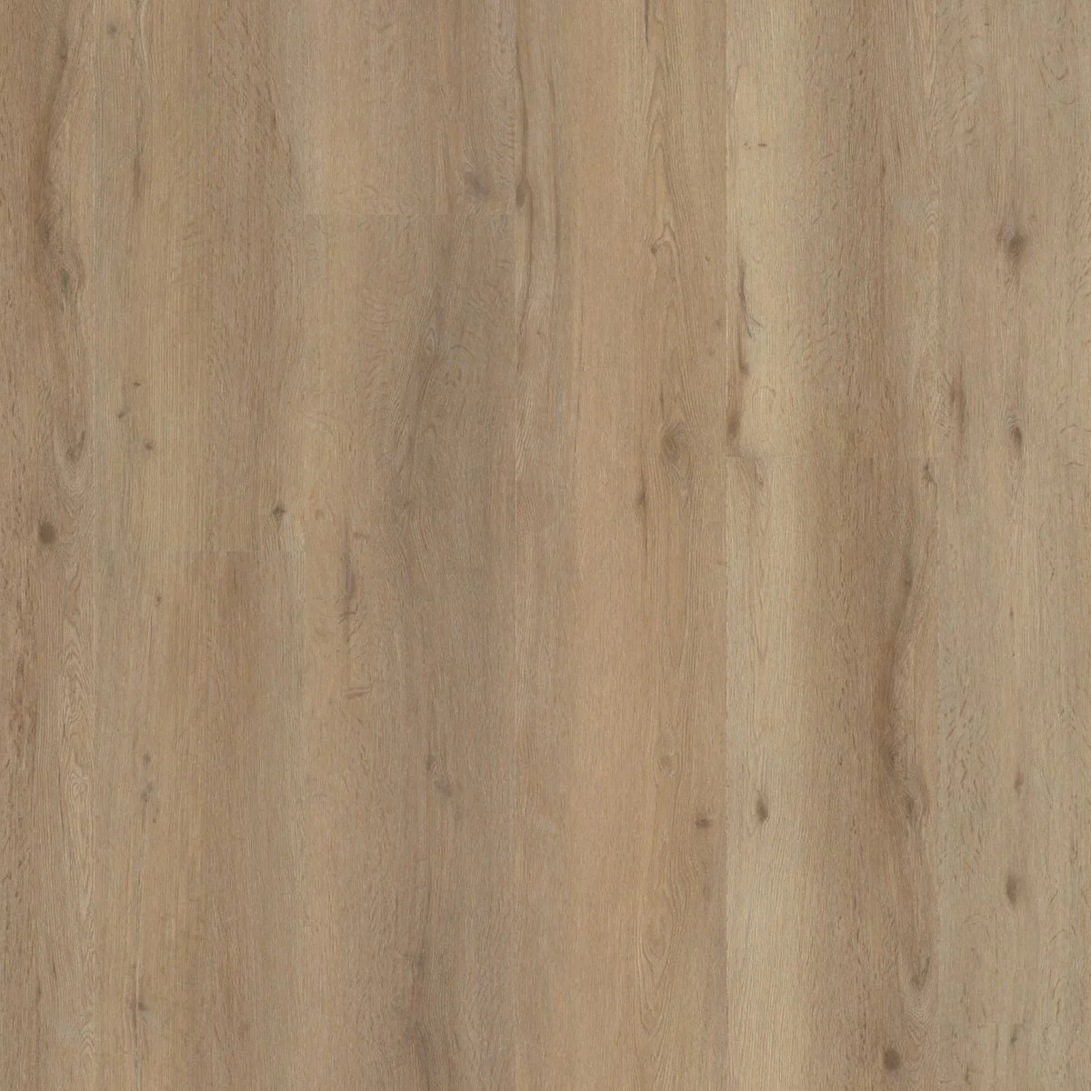 Ambiant Vivero click SRC natural oak