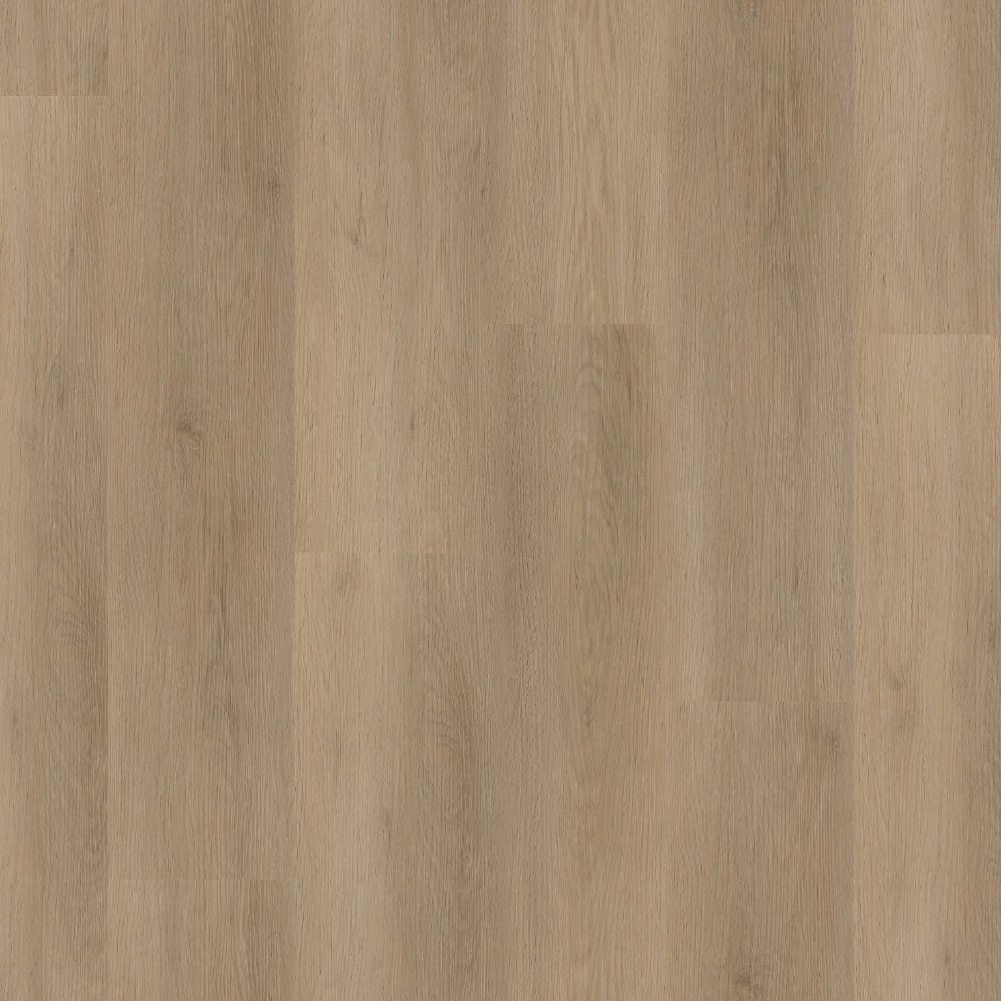 Ambiant Sentima click natural oak - Afbeelding 11