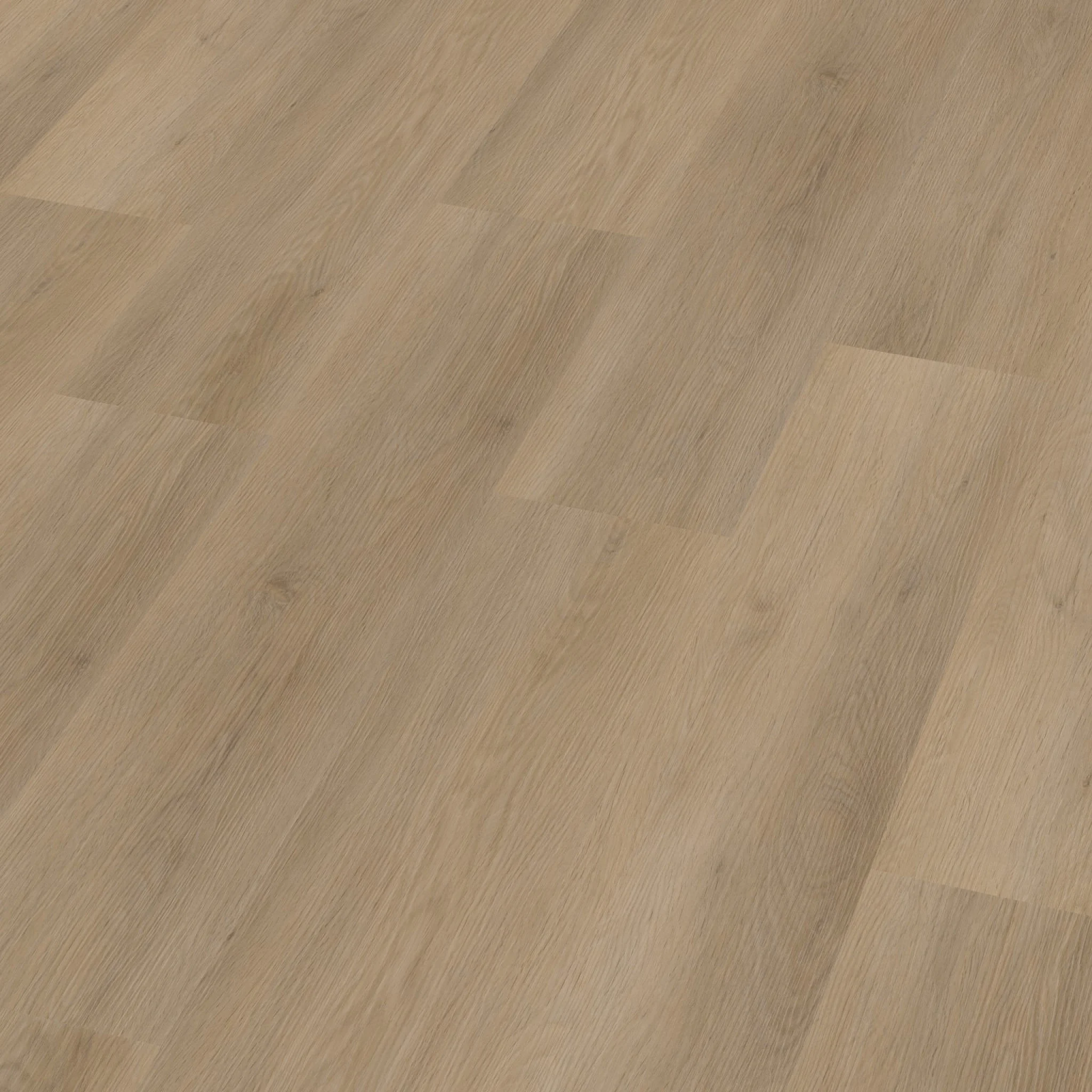 Ambiant Sentima click natural oak - Afbeelding 12