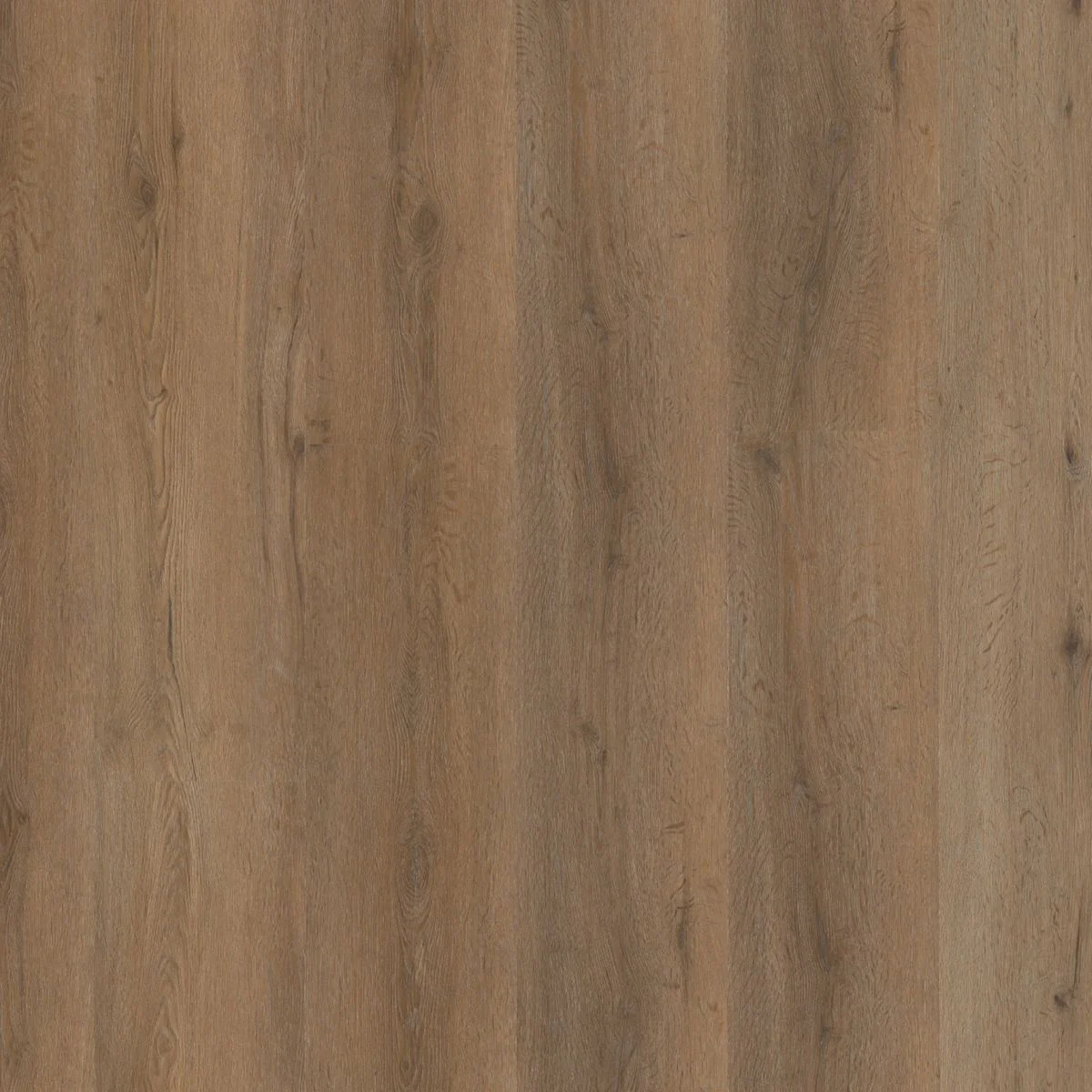 Ambiant Vivero click SRC smoky