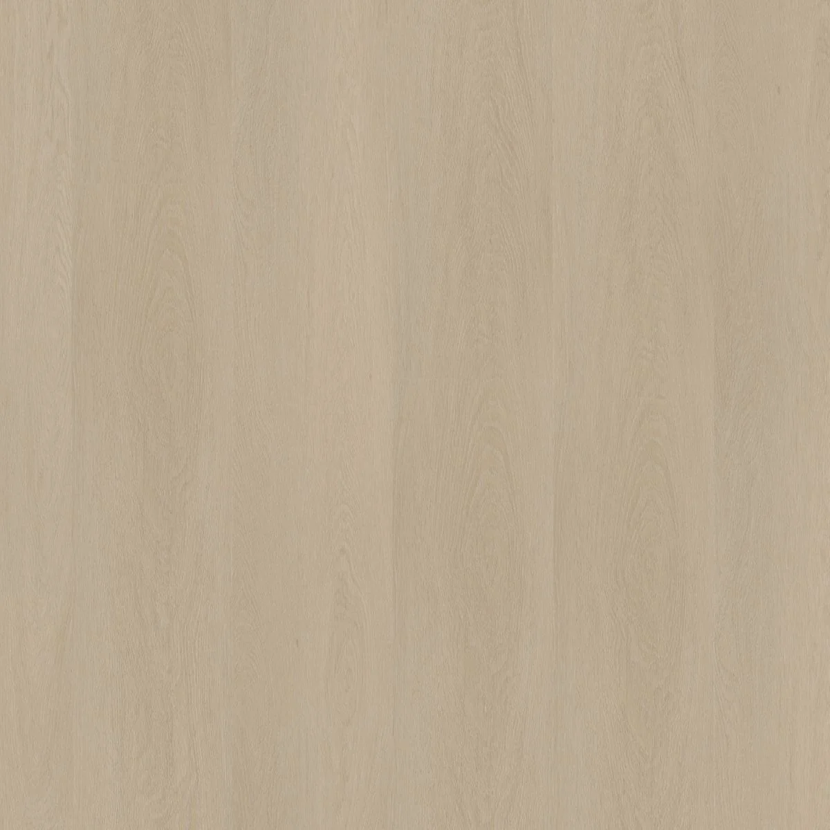 Ambiant Estino click SRC beige