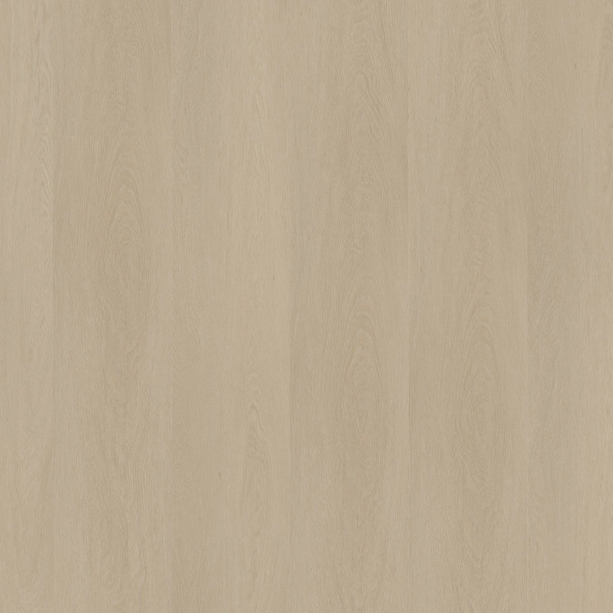 Ambiant Estino click SRC beige - Afbeelding 11
