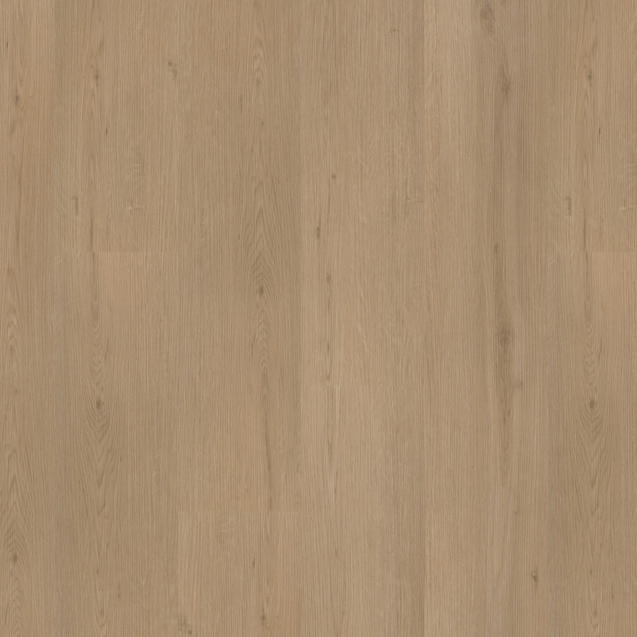 Ambiant Venera click natural oak - Afbeelding 11