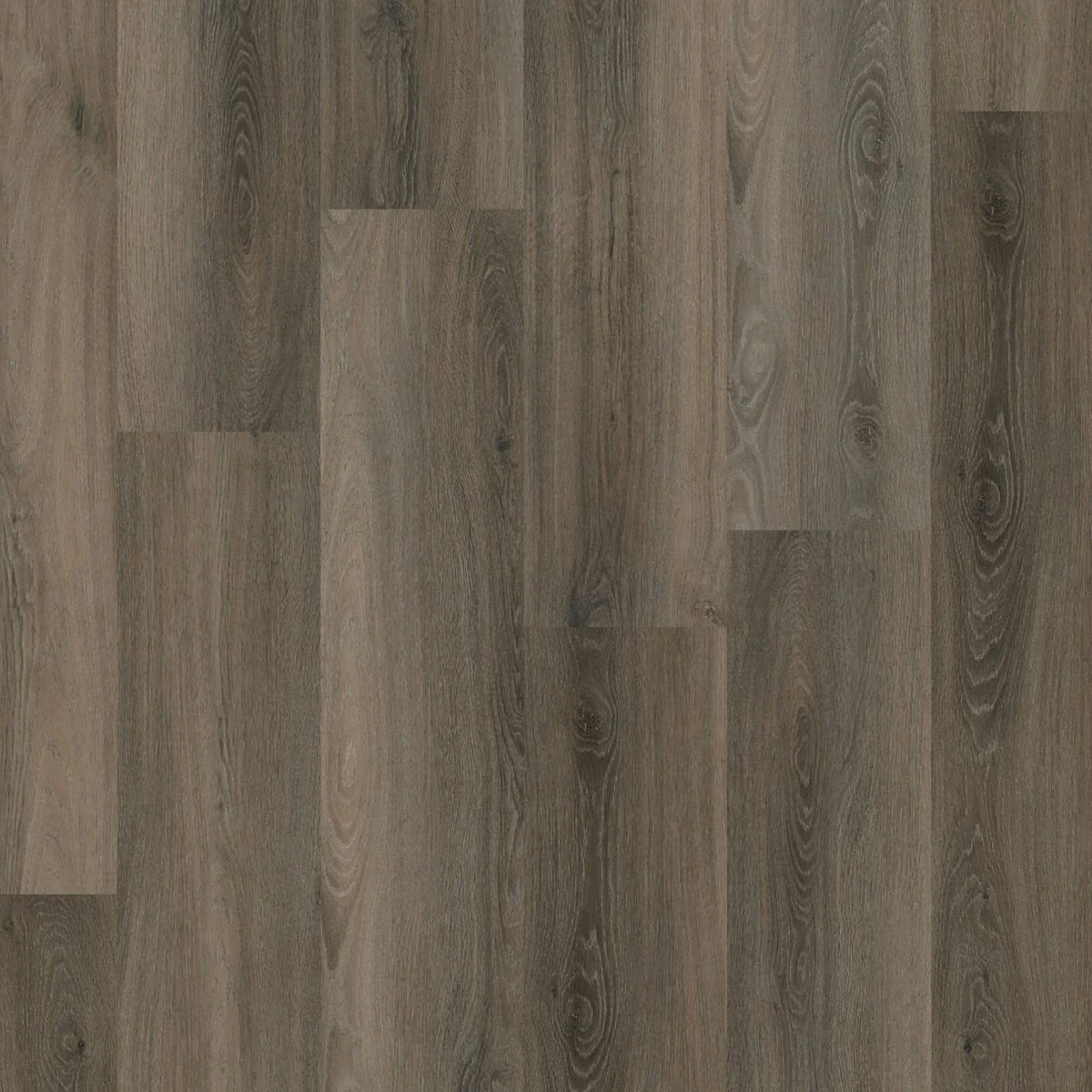 Ambiant Avanto click SRC dark grey