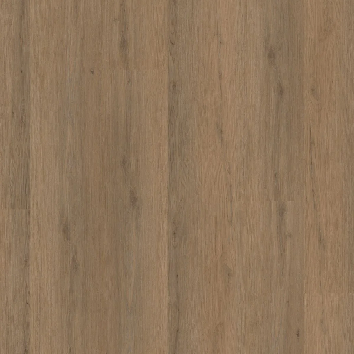Ambiant Venera click dark oak