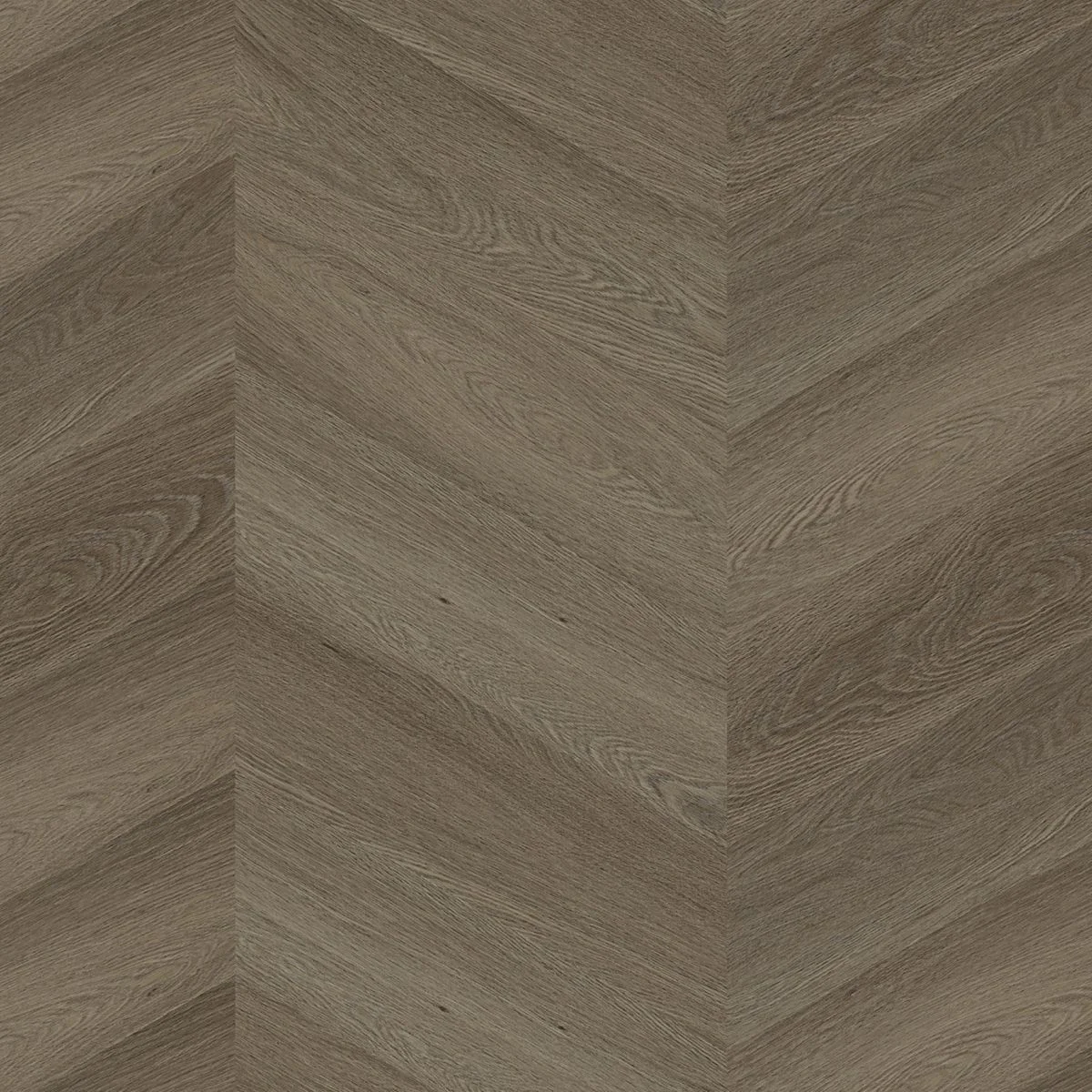 Ambiant Spigato Estino hongaarse punt dryback brown