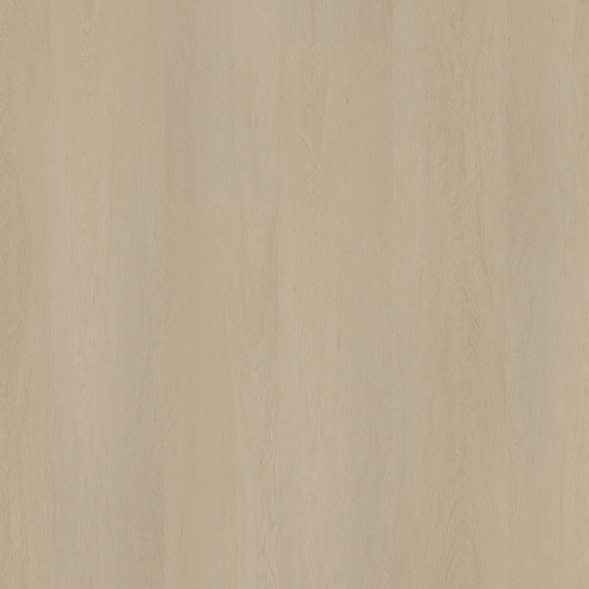 Ambiant Estino dryback beige