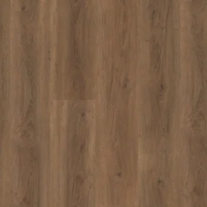 Ambiant Robusto dryback warm brown