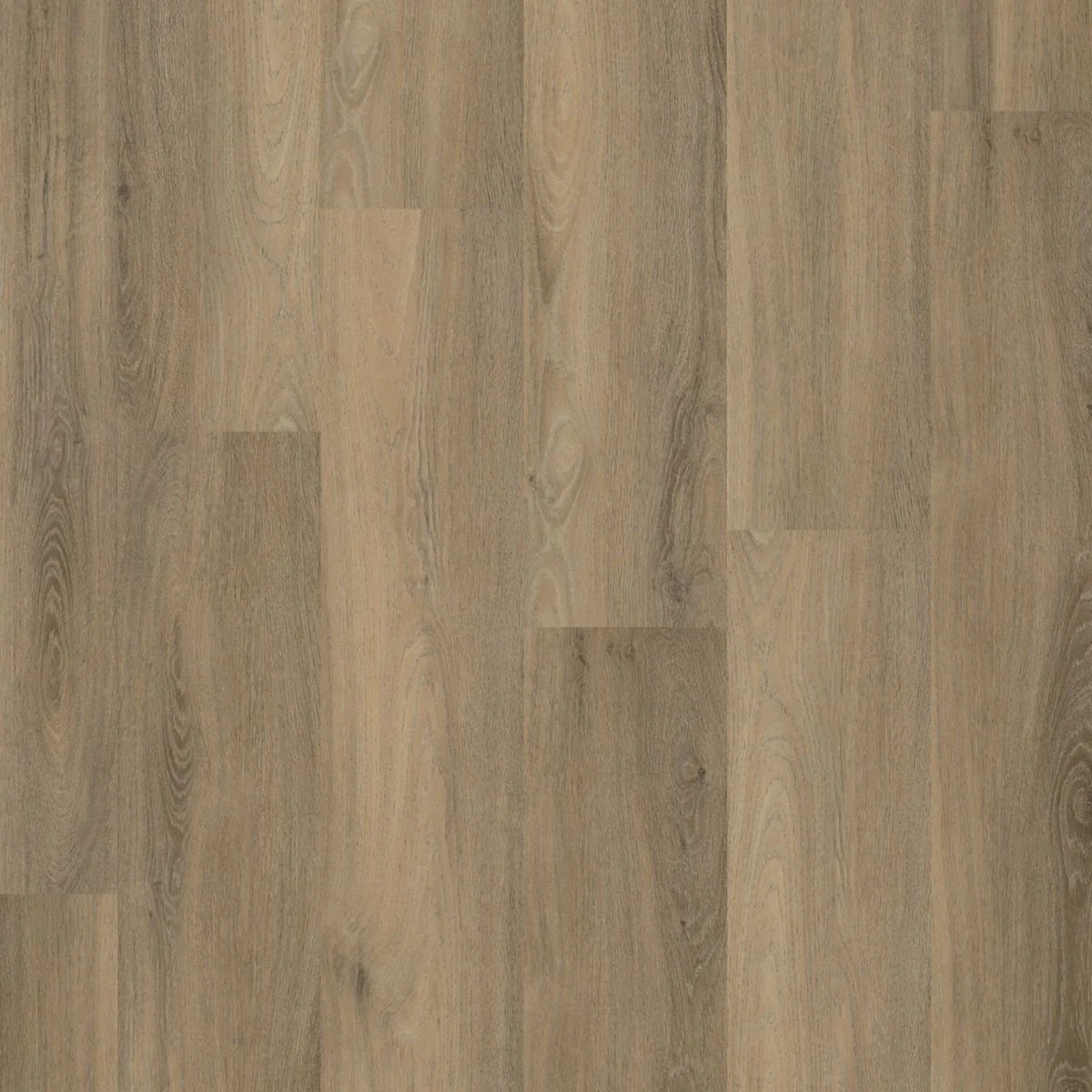 Ambiant Avanto dryback smoky
