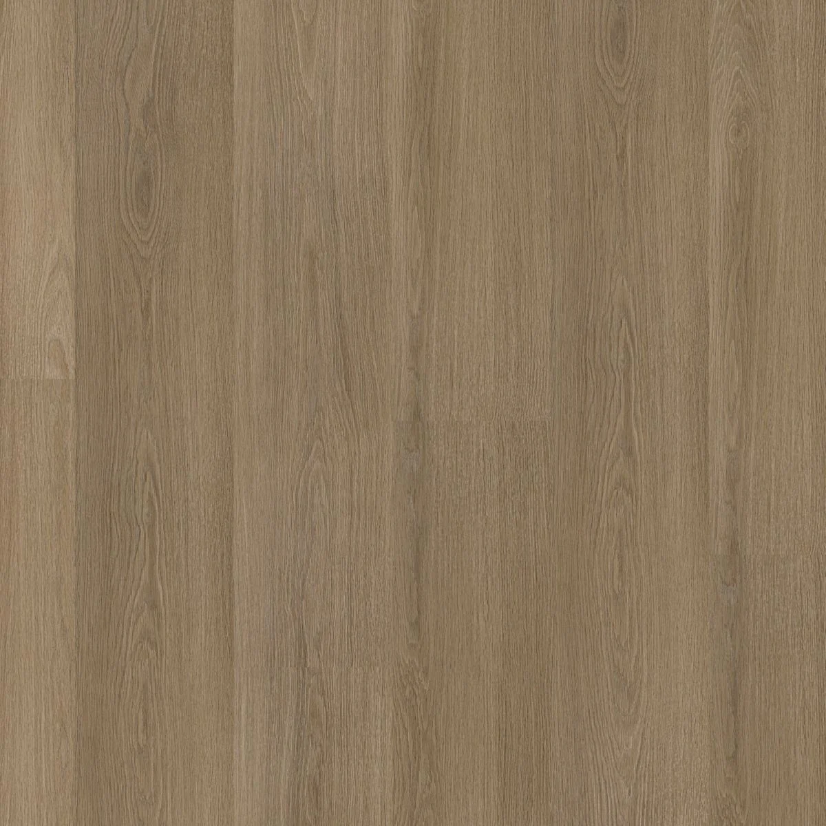 Ambiant Soleno dryback dark oak