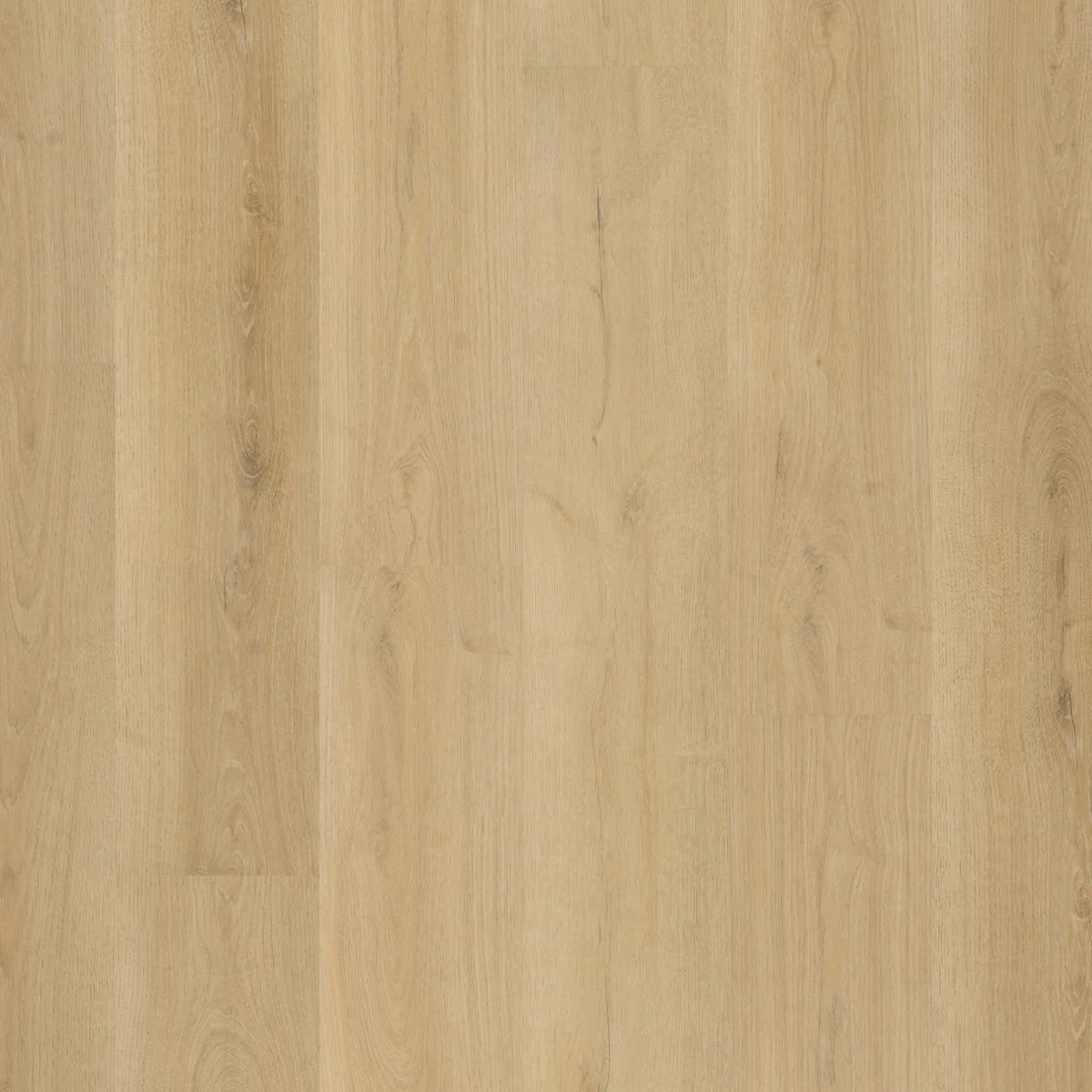 Ambiant Valento dryback natural