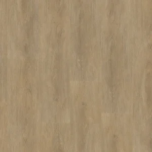 Ambiant Robusto dryback natural oak