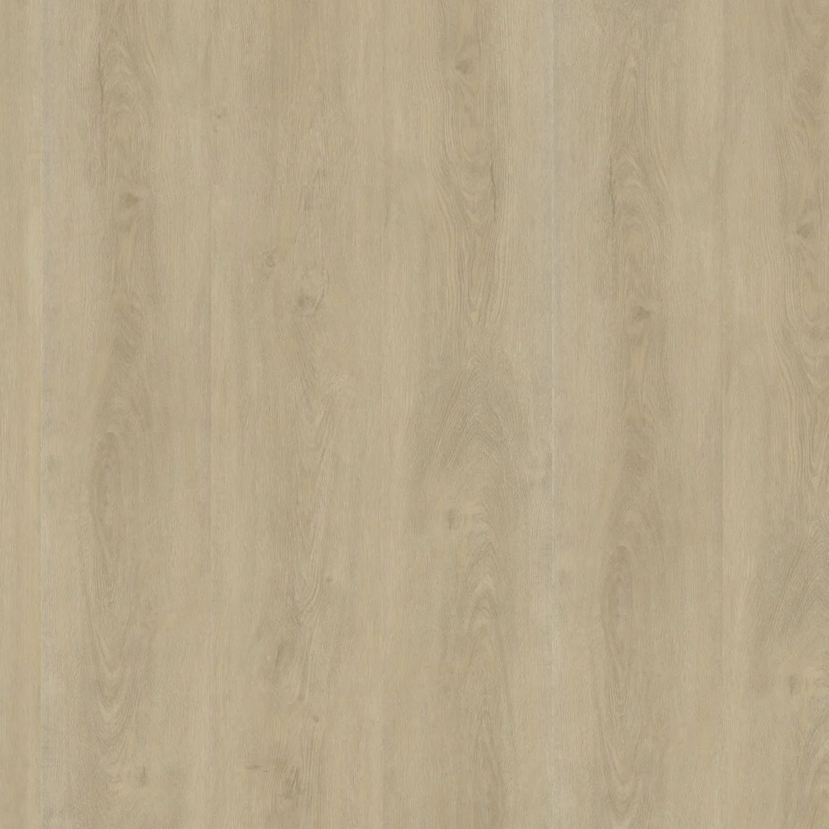Ambiant Robusto dryback light natural