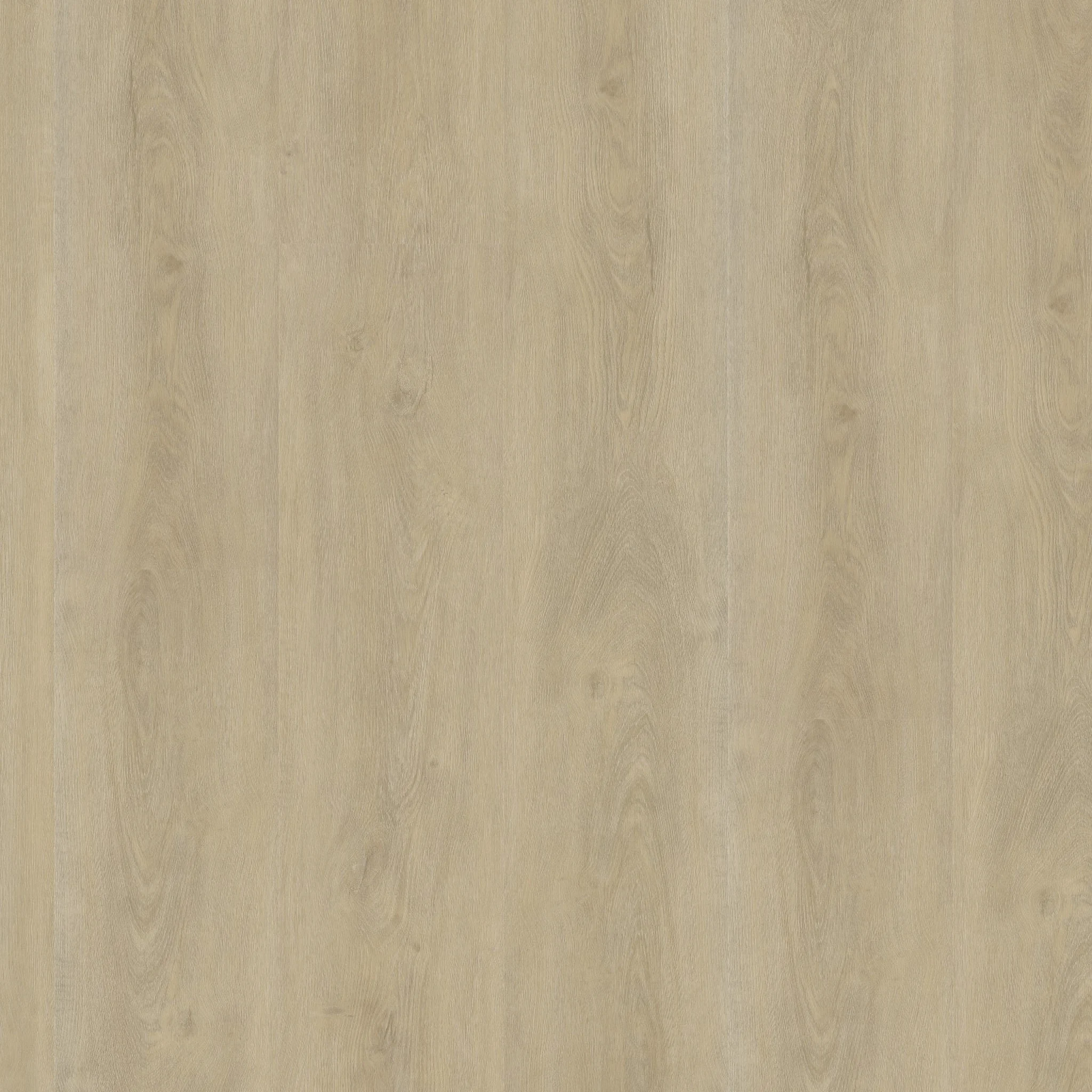 Ambiant Robusto dryback light natural - Afbeelding 11
