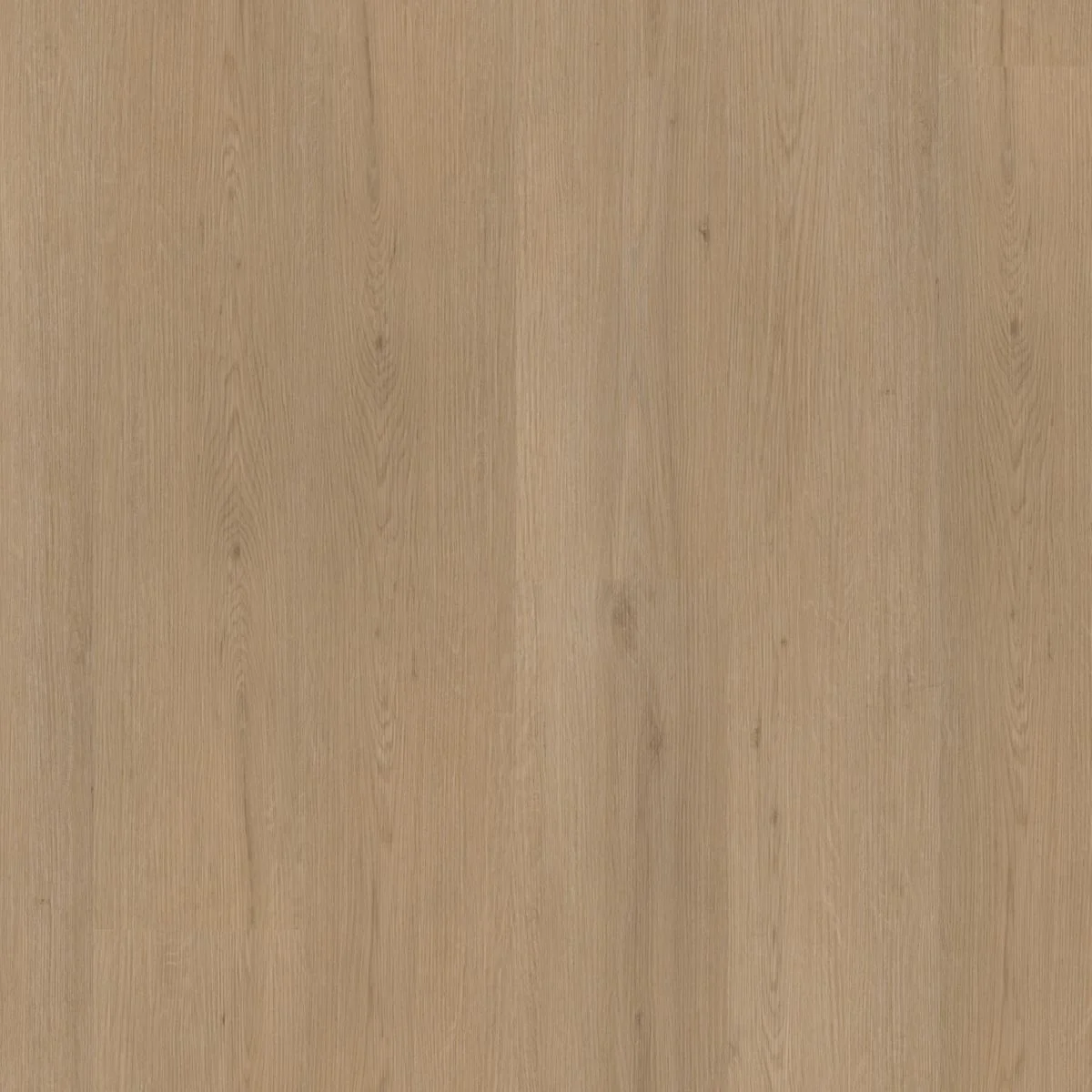 Ambiant Venera dryback natural oak