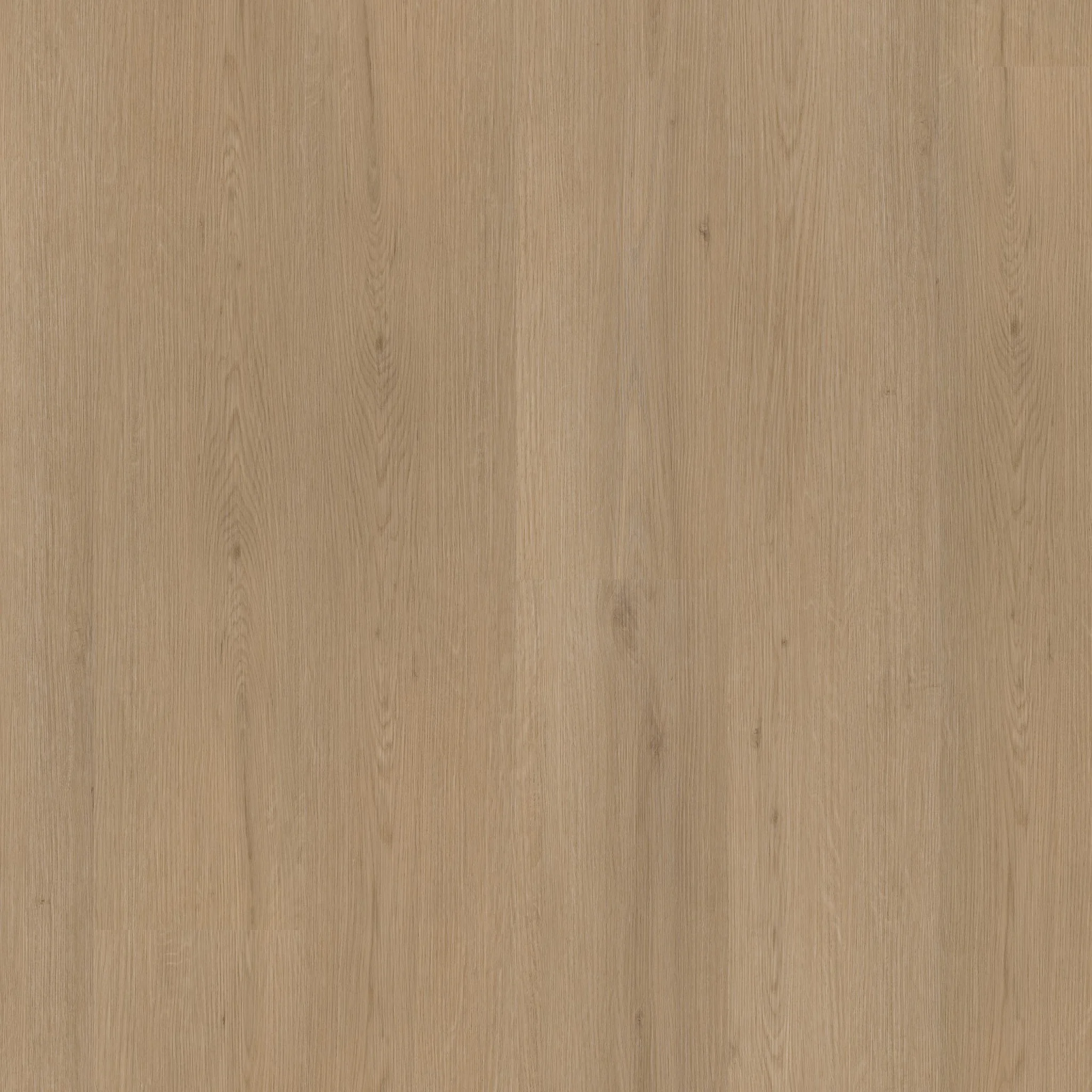 Ambiant Venera dryback natural oak - Afbeelding 11