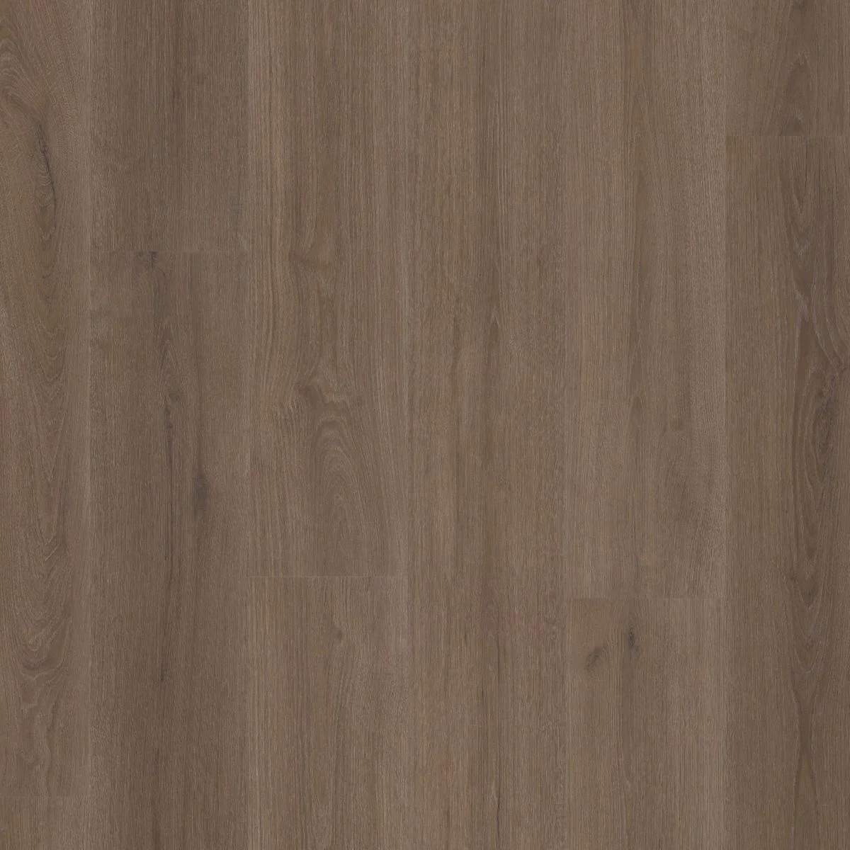Ambiant Valento dryback brown