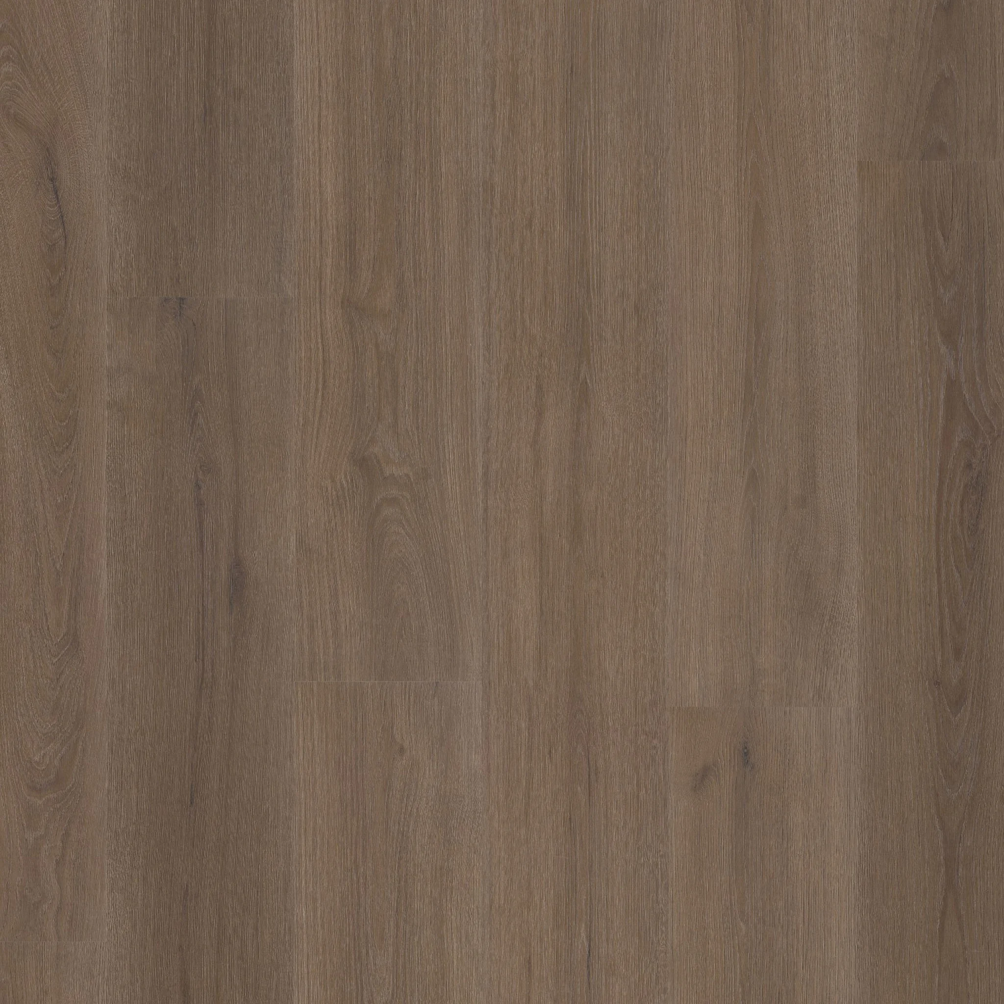 Ambiant Valento dryback brown - Afbeelding 11