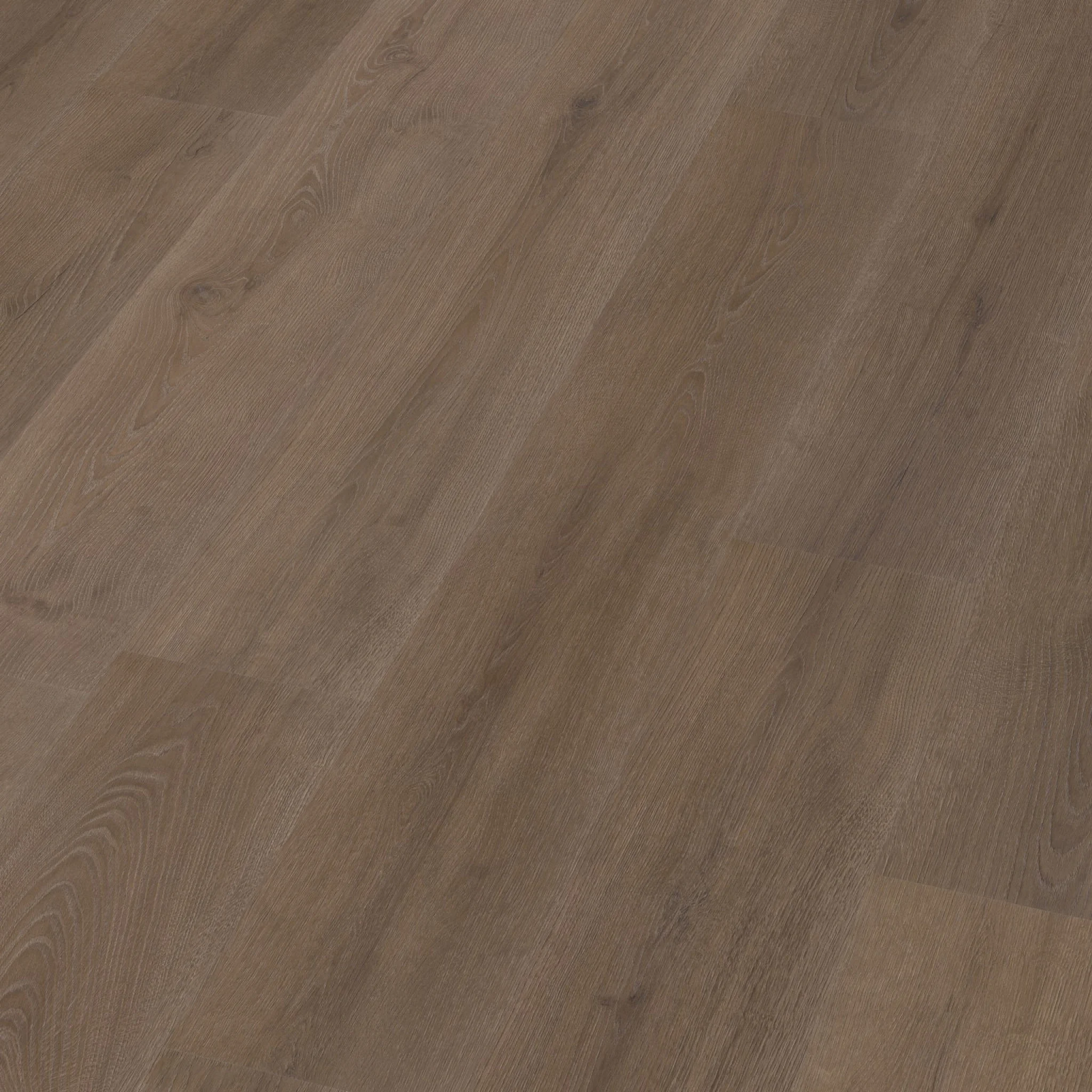 Ambiant Valento dryback brown - Afbeelding 12