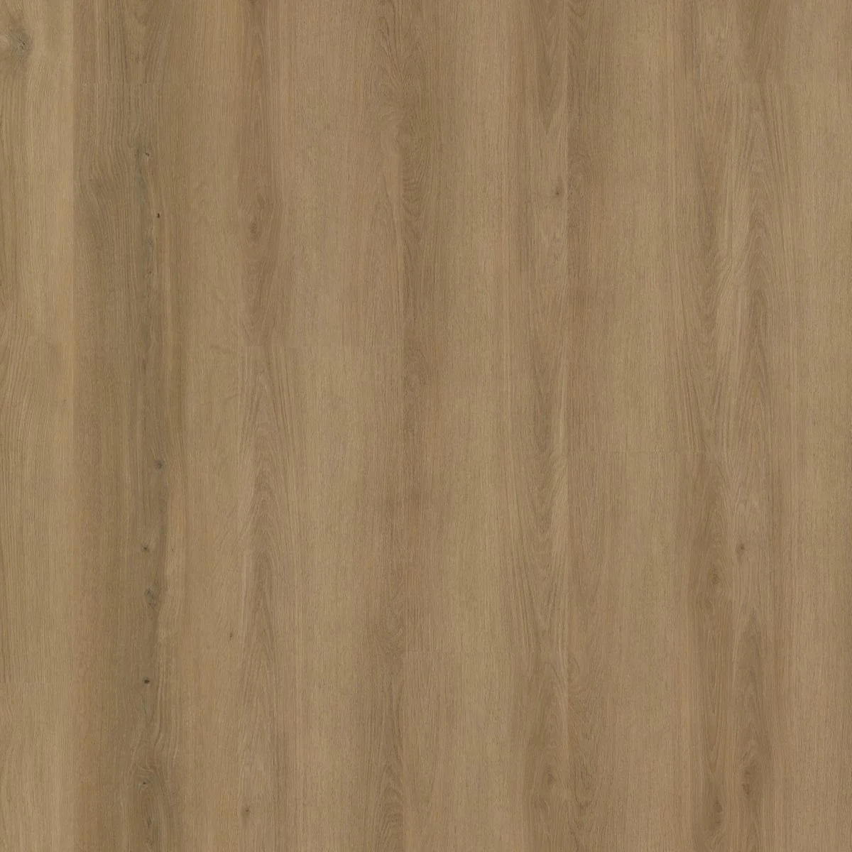 Ambiant Espero dryback dark oak