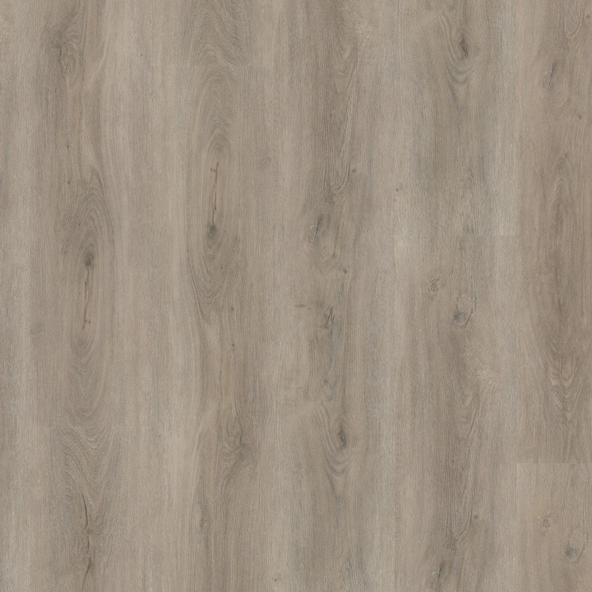 Ambiant Robusto dryback light grey - Afbeelding 11