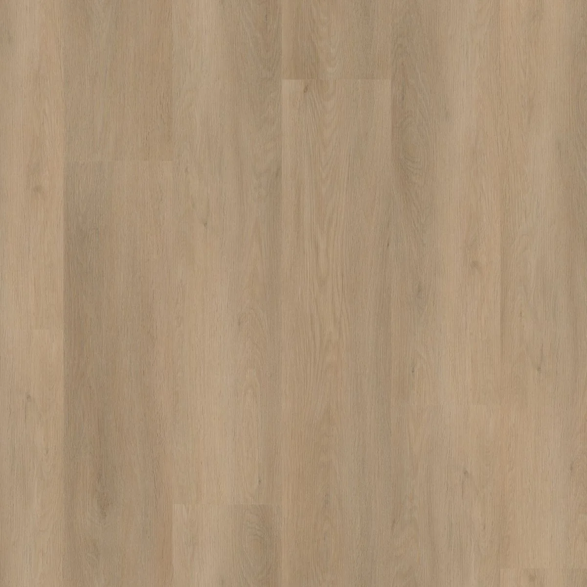 Ambiant Sentima dryback beige