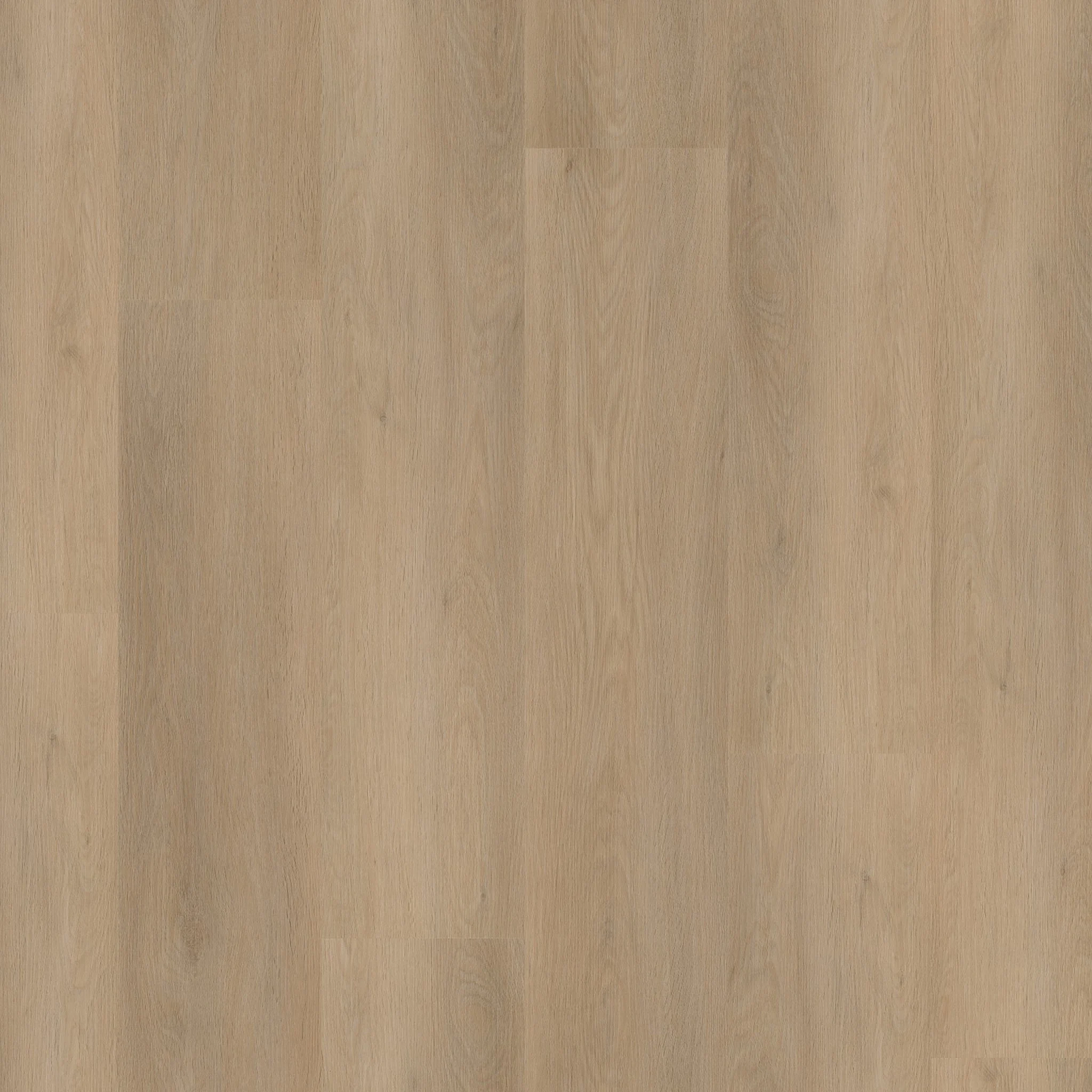 Ambiant Sentima dryback beige - Afbeelding 11