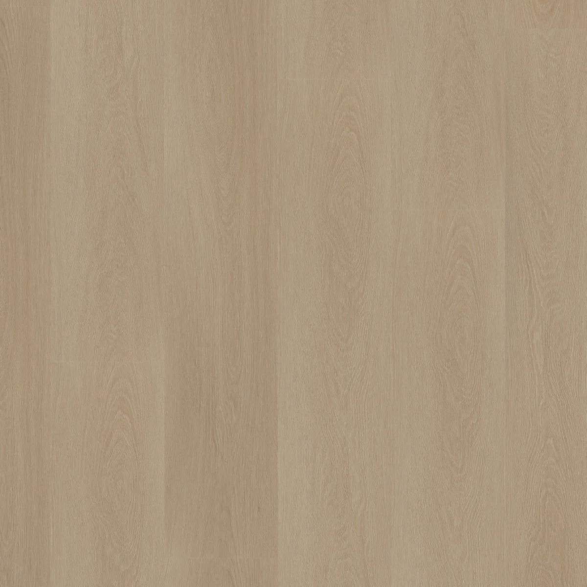 Ambiant Estino dryback smoky