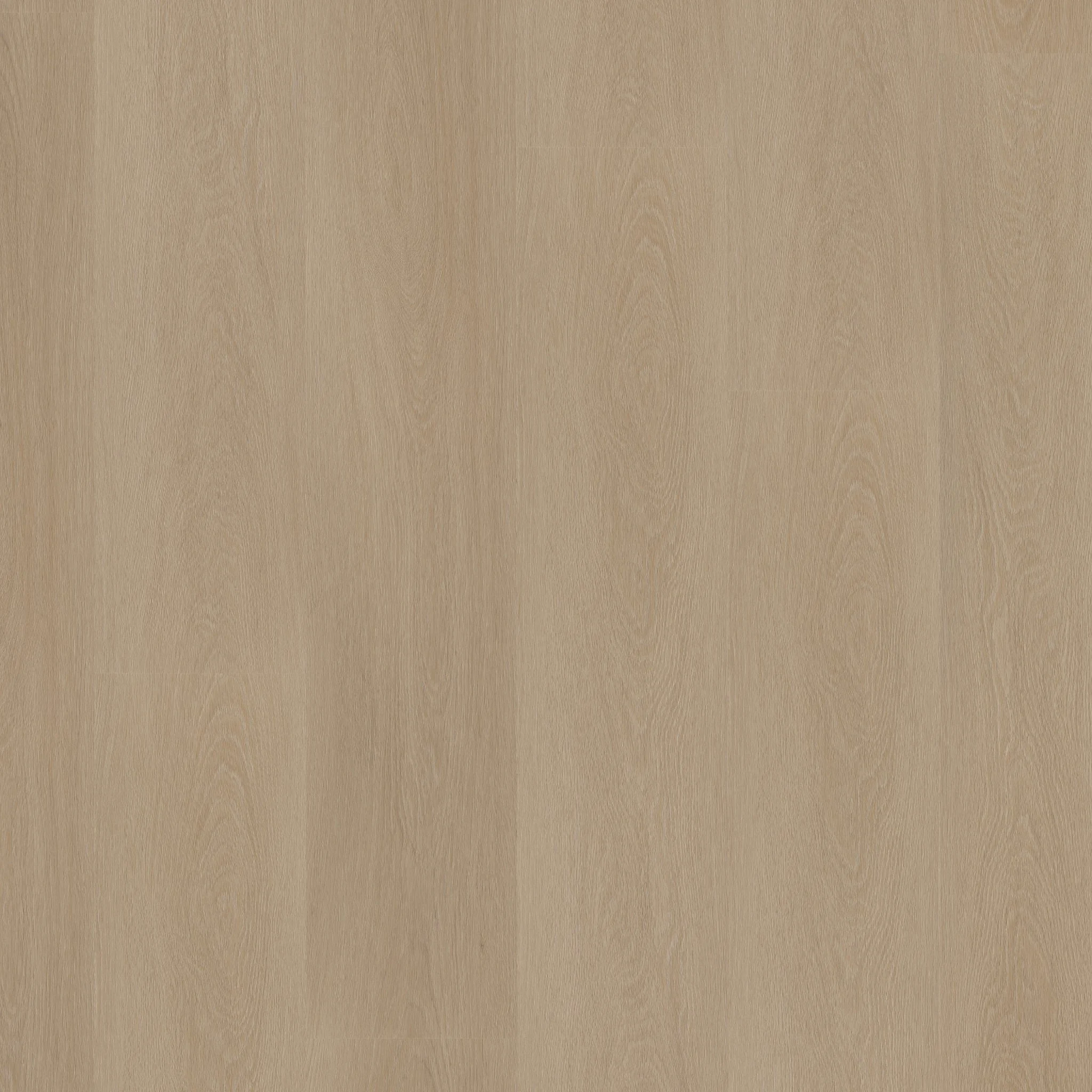 Ambiant Estino dryback smoky - Afbeelding 11
