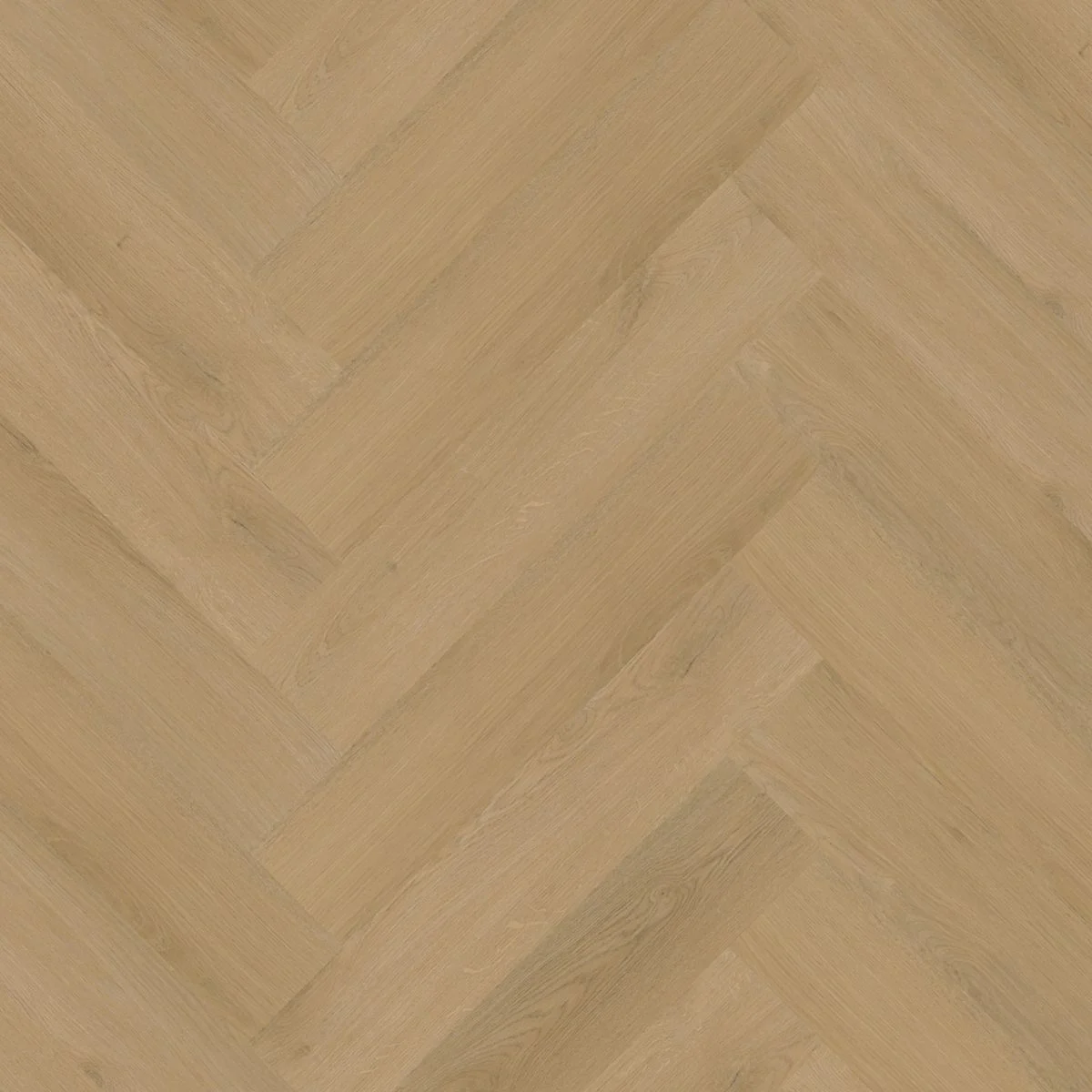 Ambiant Spigato Navaro visgraat dryback light oak