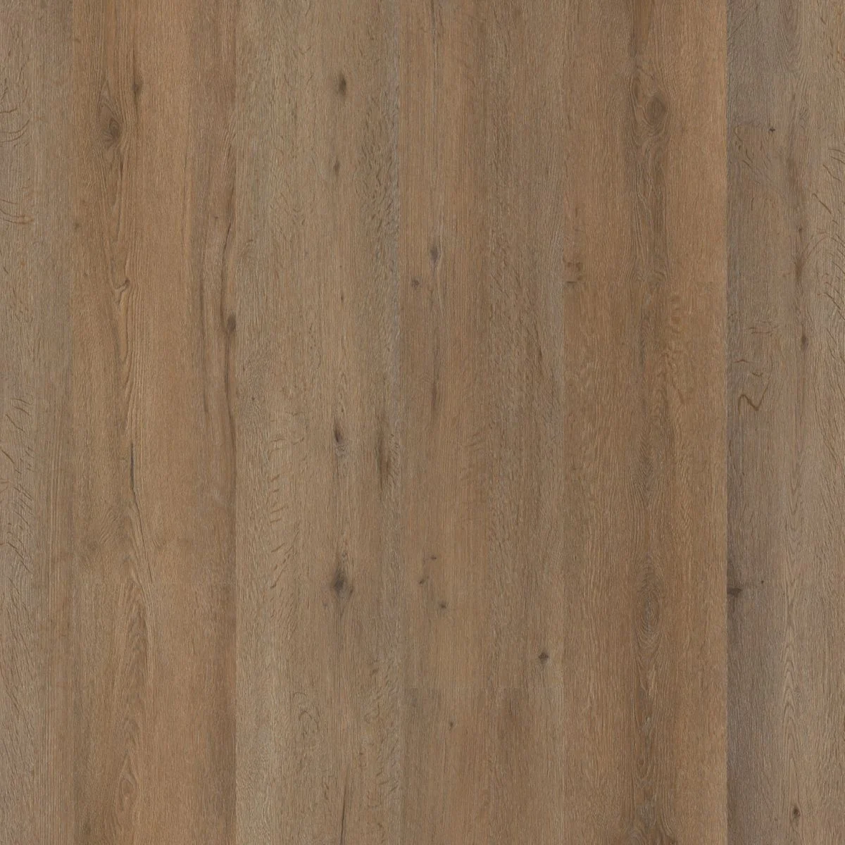 Ambiant Vivero dryback smoky
