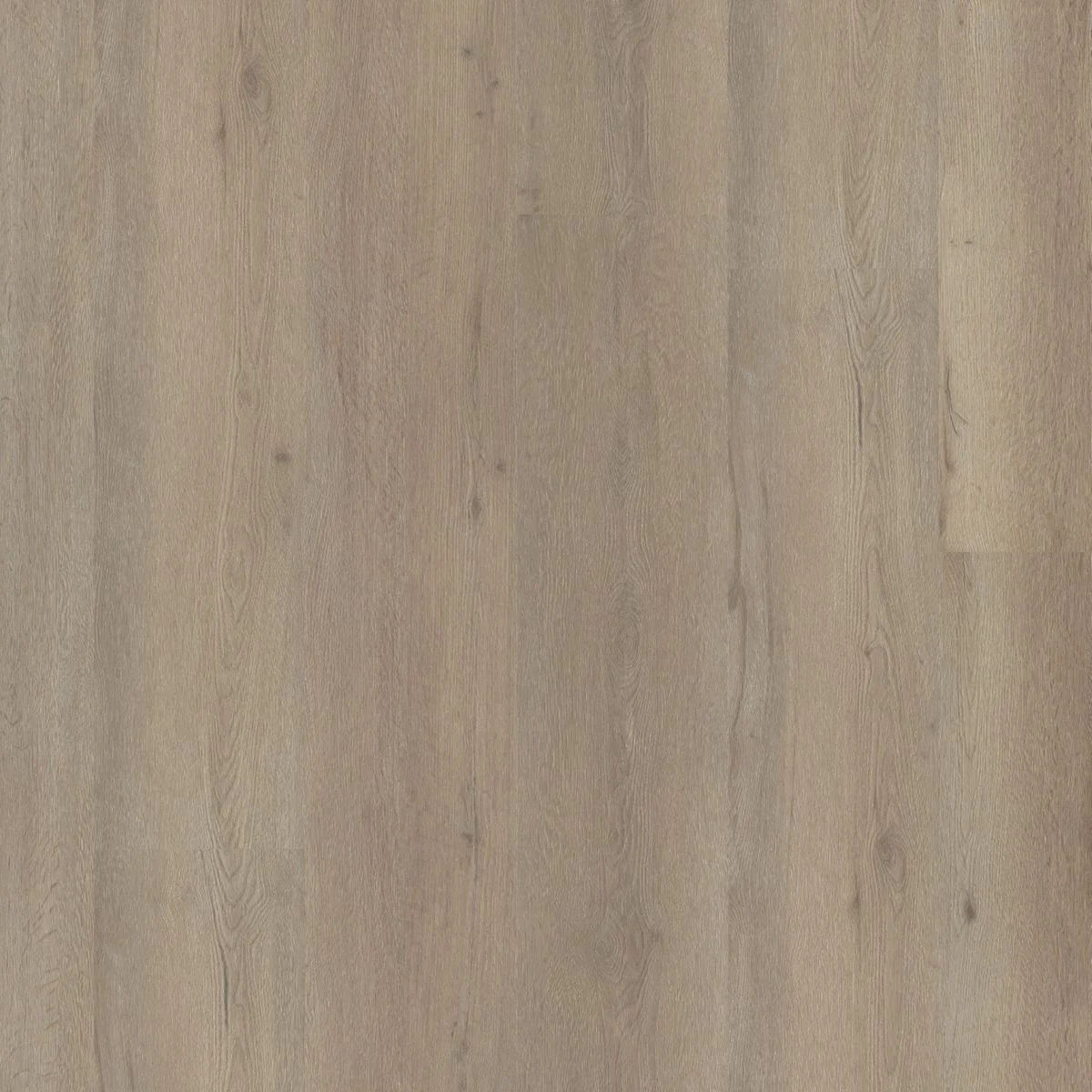 Ambiant Vivero dryback light oak