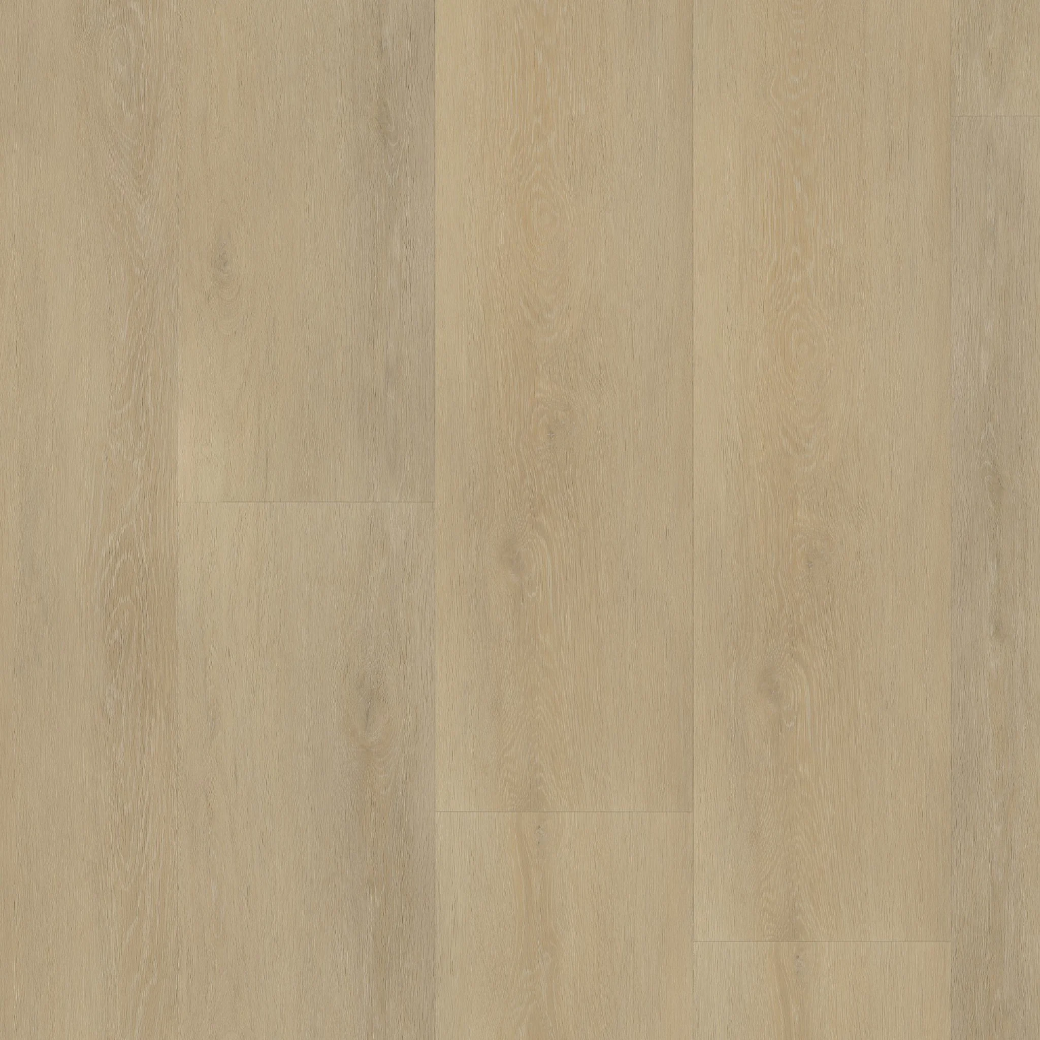 vtwonen Wide board dryback natural - Afbeelding 5